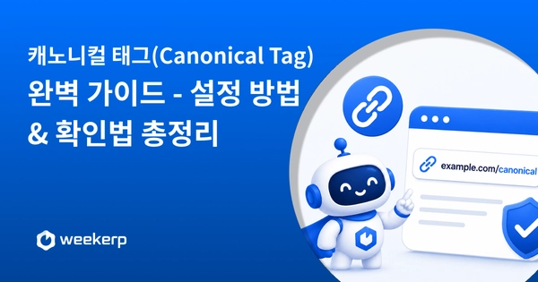 캐노니컬 태그(Canonical Tag) 완벽 가이드 - 설정 방법과 확인법 총정리